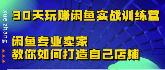 30天玩赚闲鱼实战训练营，闲鱼专业卖家教你如何打造自己店铺￼-全网项目资源网