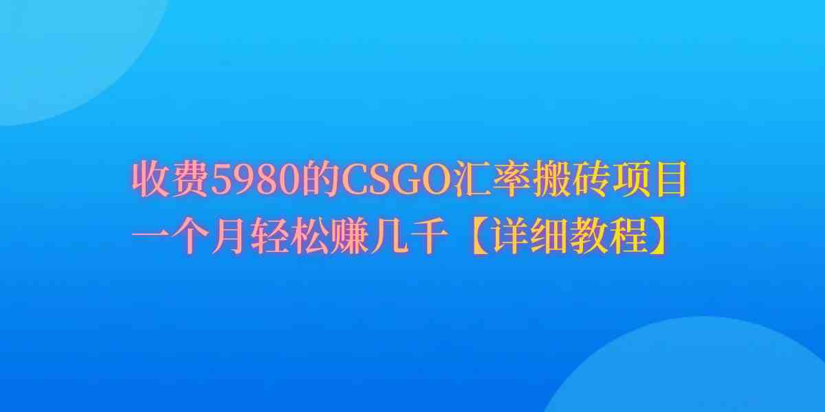 （9776期）CSGO装备搬砖，月综合收益率高达60%，你也可以！-全网项目资源网