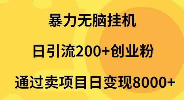 （9788期）暴力无脑挂机日引流200+创业粉通过卖项目日变现2000+-全网项目资源网