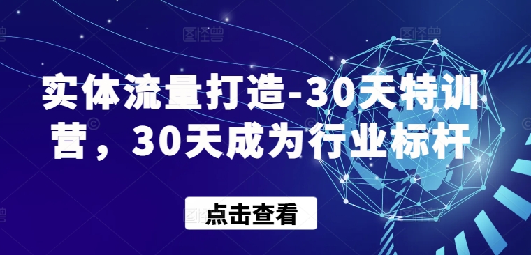 实体流量打造-30天特训营，30天成为行业标杆-全网项目资源网