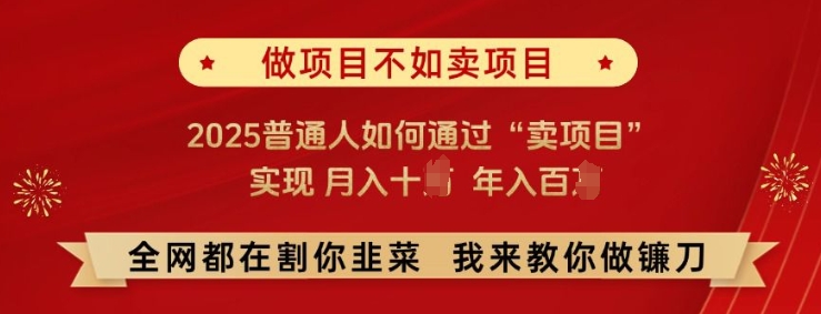 必看!做项目不如卖项目，2025普通人如何通过“卖项目”实现月入十个，年入百个【揭秘】-全网项目资源网