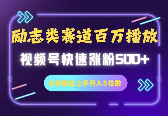 励志类赛道也能百万播放，快速涨粉500+视频号变现月入5位数-全网项目资源网